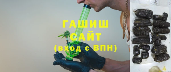 индика Нягань