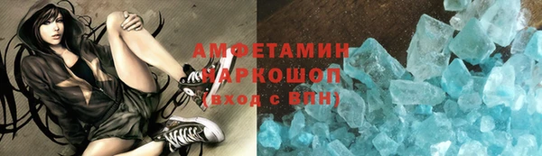 индика Нягань