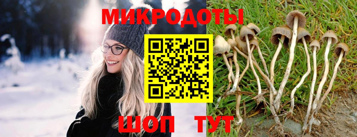 Где купить  Меф кристаллы  ГАШ  Торжок  КОКАИН  LSD-25  Канабис  Вход с VPN  Бошки Шишки 
