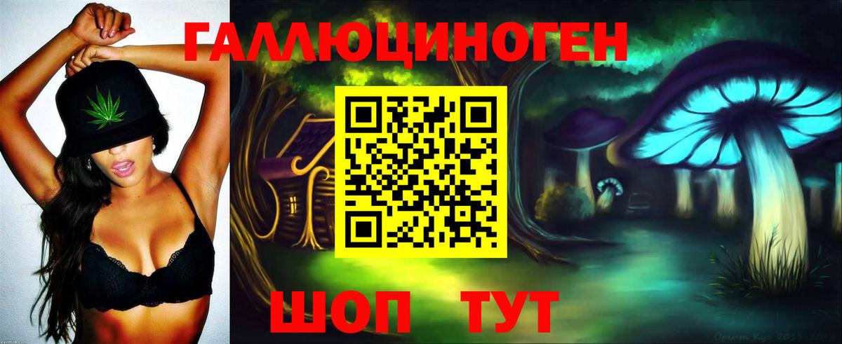Торжок  Галлюциногенные грибы GOLDEN TEACHER  Вход с VPN  Галлюциногенные грибы мухоморы 
