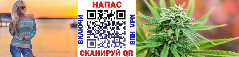 МАРИХУАНА семена  как найти   Торжок 