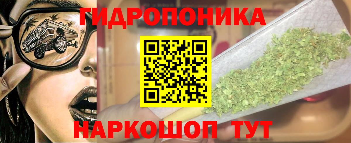 Бошки марихуана марихуана Торжок